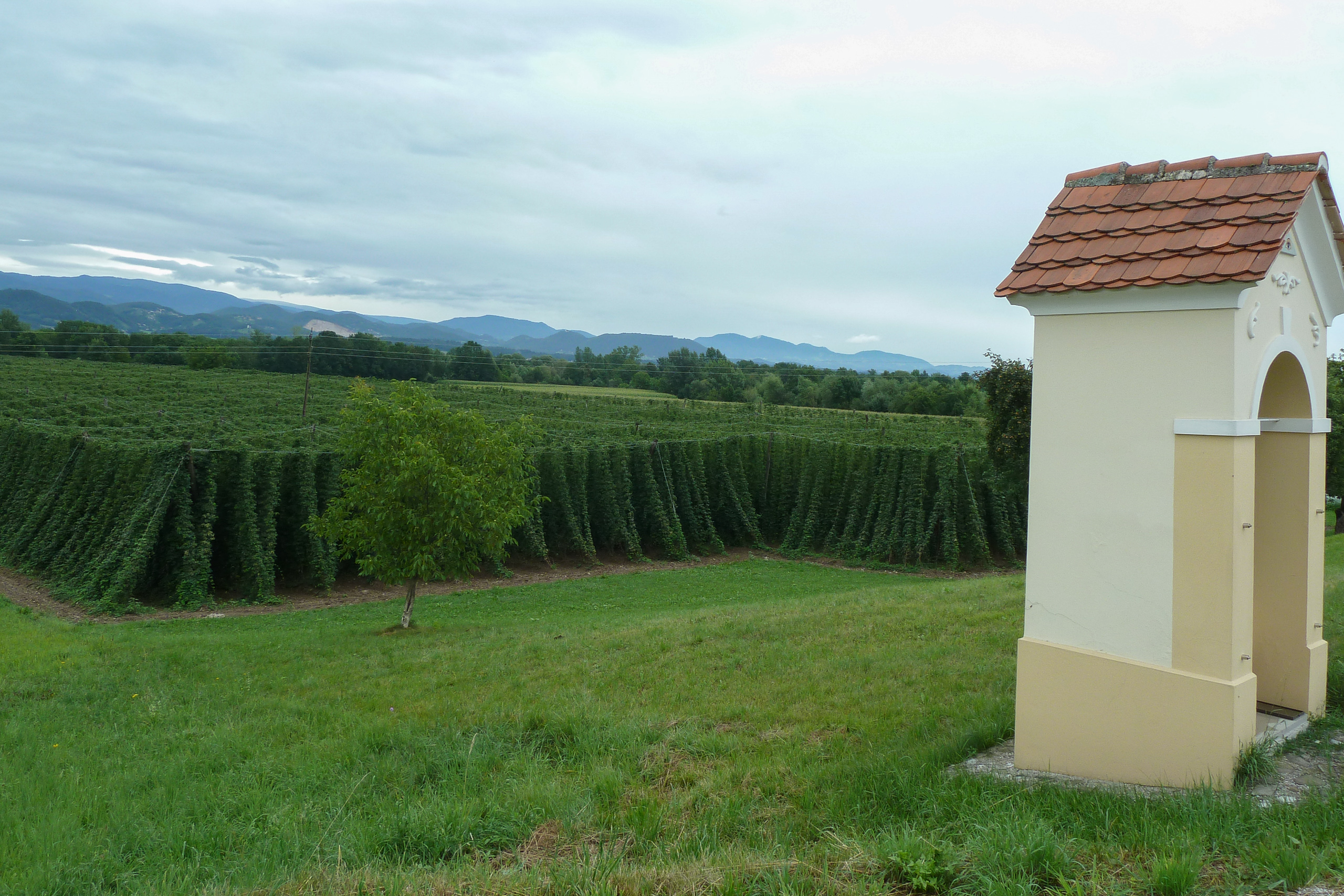 Zrece – Kamnik: Entlang der Drau nach Norden